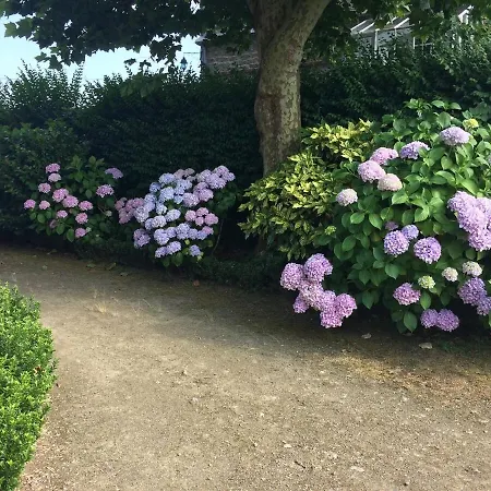 Appartamento T2 De Charme Dans Typique, Proche De La Dinard