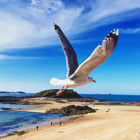 T2 De Charme Dans Typique, Proche De La * Dinard